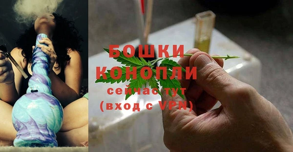 шишки Армянск