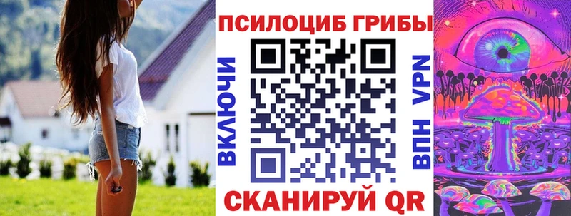 магазин продажи наркотиков  Губкинский  Псилоцибиновые грибы Psilocybine cubensis 